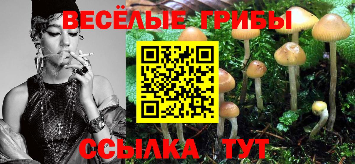 Галлюциногенные грибы ЛСД Соль-Илецк