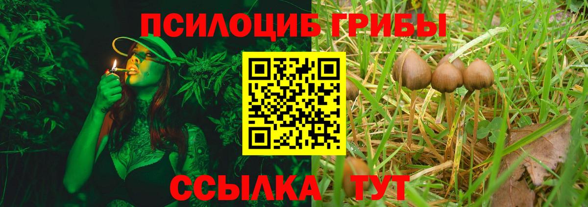 Соль-Илецк  Псилоцибиновые грибы мухоморы  Вход с VPN 